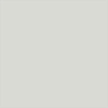 1005 - Matte Light Grey