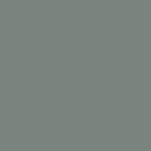 Benjamin Moore 1567 (AC-18) "Night Train"