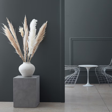 Benjamin Moore 2126-20 "Racoon Fur"
