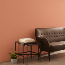 Benjamin Moore 055 "Pumpkin Patch"