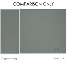 Benjamin Moore 1567 (AC-18) "Night Train"