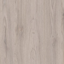 Chinchilla 5372-69