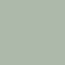 Mint STF