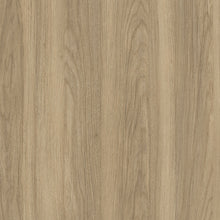 Sherwood Forest 5348-04