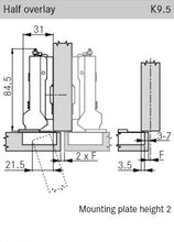 Tiomos Self-Close Hinge, Dowel 110°